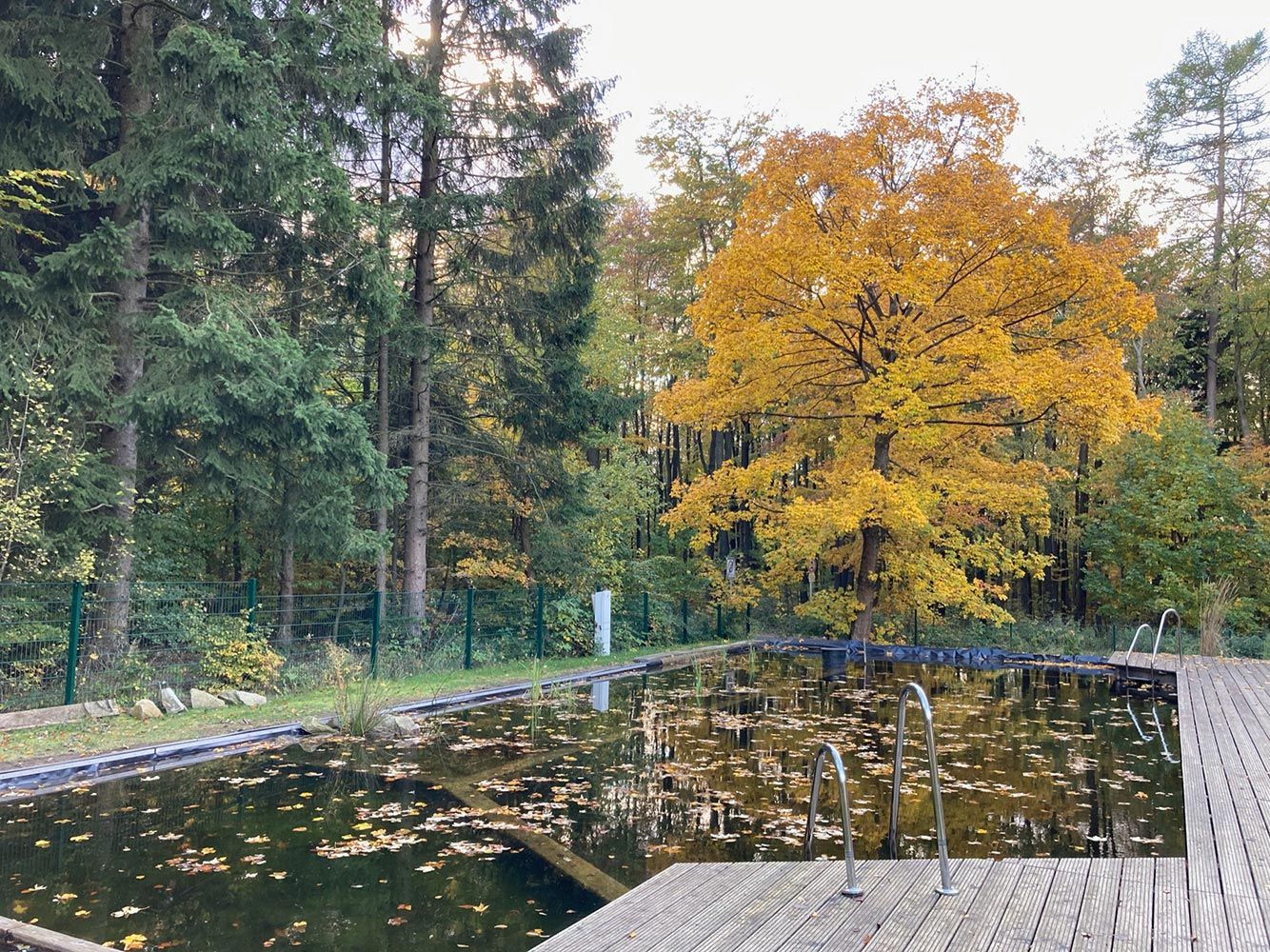 Forsthaus Wegenerskopf in Thale/ Friedrichsbrunn