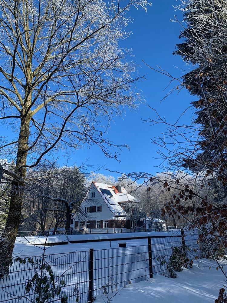 Forsthaus Wegenerskopf in Thale/ Friedrichsbrunn